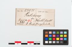 Etiketten zu Bronzebeschlagblech (NHMW-PRAE-023973)